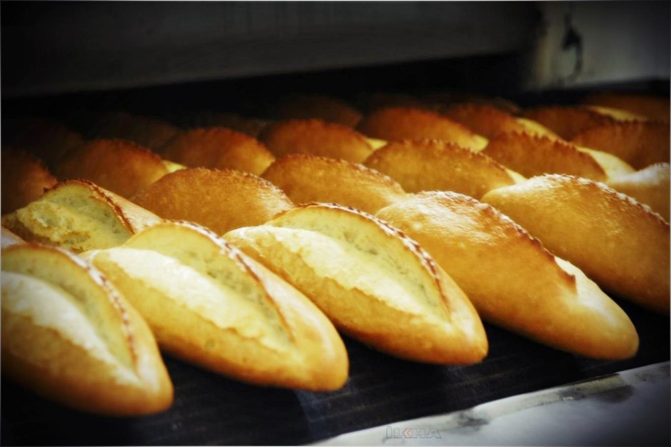 Her yıl 500 bin ton ekmek israf ediliyor